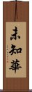 未知華 Scroll