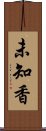 未知香 Scroll