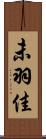 未羽佳 Scroll
