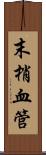 末梢血管 Scroll