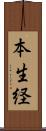 本生経 Scroll