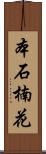 本石楠花 Scroll