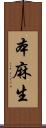 本麻生 Scroll