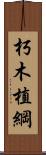 朽木植綱 Scroll