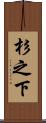 杉之下 Scroll