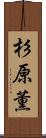 杉原薫 Scroll