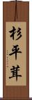 杉平茸 Scroll