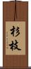 杉枝 Scroll