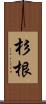 杉根 Scroll