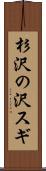杉沢の沢スギ Scroll