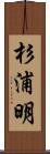 杉浦明 Scroll