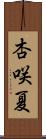 杏咲夏 Scroll