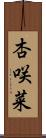 杏咲菜 Scroll