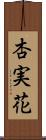 杏実花 Scroll