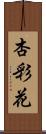 杏彩花 Scroll