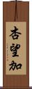 杏望加 Scroll