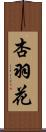 杏羽花 Scroll
