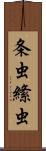 条虫 Scroll