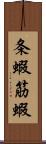 条蝦 Scroll