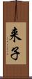 来子 Scroll