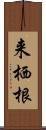 来栖根 Scroll