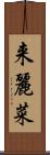 来麗菜 Scroll