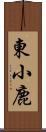 東小鹿 Scroll