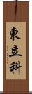 東立科 Scroll