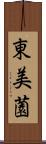 東美薗 Scroll