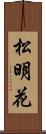 松明花 Scroll