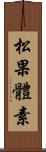 松果體素 Scroll