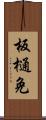 板樋免 Scroll