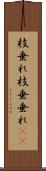 枝垂れ Scroll
