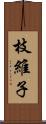 枝維子 Scroll