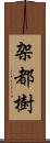 架都樹 Scroll