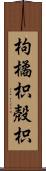 枸橘;枳殻;枳 Scroll