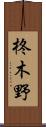 柊木野 Scroll