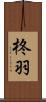 柊羽 Scroll