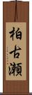 柏古瀬 Scroll