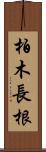 柏木長根 Scroll