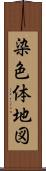 染色体地図 Scroll