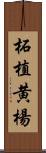 柘植 Scroll