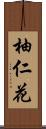 柚仁花 Scroll