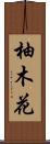 柚木花 Scroll