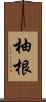柚根 Scroll