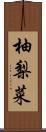 柚梨菜 Scroll