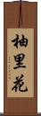 柚里花 Scroll