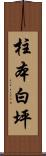 柱本白坪 Scroll