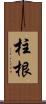 柱根 Scroll