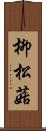 柳松菇 Scroll